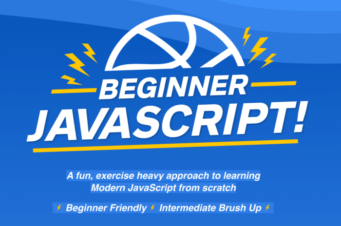 Beginner JavaScript course